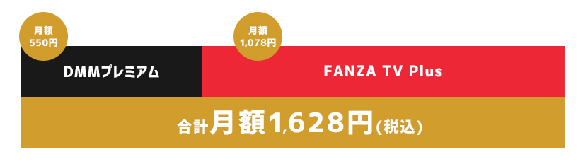 FANZA TV Plusの料金
